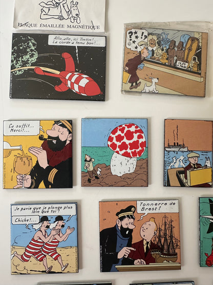 Pixi Tintin- 12 Plaques émaillées Magnétiques